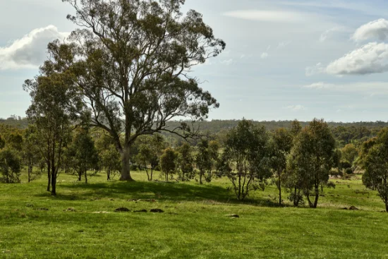 545 Spring Flat Road, Mia Mia, Vic 3444