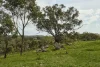545 Spring Flat Road, Mia Mia, Vic 3444-Image
