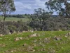 545 Spring Flat Road, Mia Mia, Vic 3444-Image
