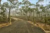 546 Hylands Lane, Heathcote, Vic 3523-Image