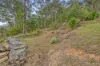 548 Settlers Road, Lower Macdonald, NSW 2775