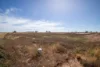 55 Farrell Road, North Beach, SA 5556-Image