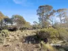 55 Fleming Drive, Miena, Tas 7030-Image