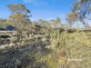 55 Fleming Drive, Miena, Tas 7030-Image