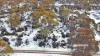 55 Fleming Drive, Miena, Tas 7030-Image