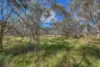 55 Horsehair Bend, Dinner Plain, Vic 3898-Image