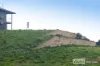 55 One & All, Cape Jaffa, SA 5275-Image