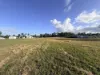 55 Park Avenue, North Isis, Qld 4660-Image