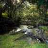 55 Park Avenue, North Isis, Qld 4660-Image