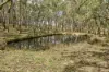 555 Dairy Flat Road, Heathcote, Vic 3523-Image