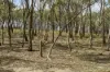 555 Dairy Flat Road, Heathcote, Vic 3523-Image