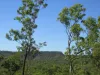 555 Daly River Road, Adelaide River, NT 0846-Image