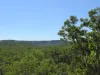 555 Daly River Road, Adelaide River, NT 0846-Image