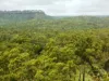 555 Daly River Road, Adelaide River, NT 0846-Image