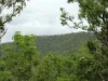 555 Daly River Road, Adelaide River, NT 0846-Image