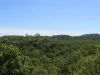 555 Daly River Road, Adelaide River, NT 0846-Image