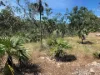 555 Daly River Road, Adelaide River, NT 0846-Image