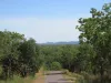 555 Daly River Road, Adelaide River, NT 0846-Image