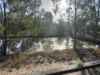 557 Myra Road, Tara, Qld 4421-Image