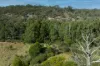 557 The Lookdown Road, Bungonia, NSW 2580-Image