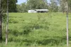5594 Isis Highway, Childers, Qld 4660-Image