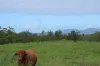 5594 Isis Highway, Childers, Qld 4660-Image