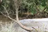 5594 Isis Highway, Childers, Qld 4660-Image