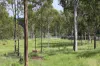 5594 Isis Highway, Childers, Qld 4660-Image