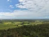 5594 Isis Highway, Childers, Qld 4660-Image