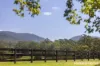 56 Bawley Point Road, Termeil, NSW 2539-Image