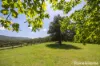 56 Bawley Point Road, Termeil, NSW 2539-Image