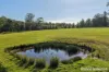 56 Bawley Point Road, Termeil, NSW 2539-Image