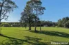 56 Bawley Point Road, Termeil, NSW 2539-Image
