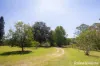 56 Bawley Point Road, Termeil, NSW 2539-Image