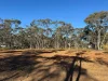 56 Calder Court, Moonlight Flat, Vic 3465-Image