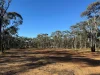 56 Calder Court, Moonlight Flat, Vic 3465-Image