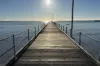 56  Carrow Terrace, Port Neill, SA 5604-Image