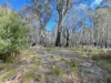 56 Laycock Drive, Interlaken, Tas 7030-Image