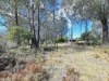 56 Laycock Drive, Interlaken, Tas 7030-Image