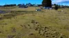 56 Walker Street, Waratah, Tas 7321-Image