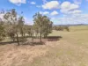 565 Dairy Flat Road, Heathcote, Vic 3523-Image