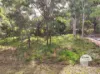 57 Tahlin Drive, Russell Island, Qld 4184-Image