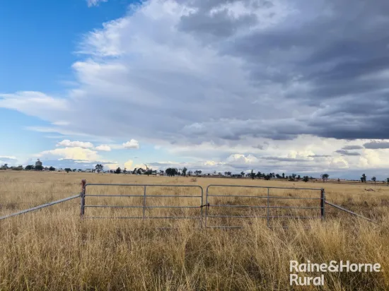 57 Upper Bowen Street, Roma, Qld 4455