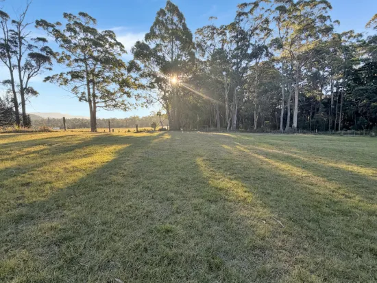 577 Elephant Pass Road, Gray, Tas 7215
