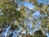 577 Elephant Pass Road, Gray, Tas 7215-Image