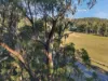577 Elephant Pass Road, Gray, Tas 7215-Image