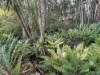 577 Elephant Pass Road, Gray, Tas 7215-Image