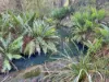 577 Elephant Pass Road, Gray, Tas 7215-Image