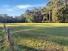 577 Elephant Pass Road, Gray, Tas 7215-Image