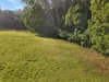 577 Elephant Pass Road, Gray, Tas 7215-Image